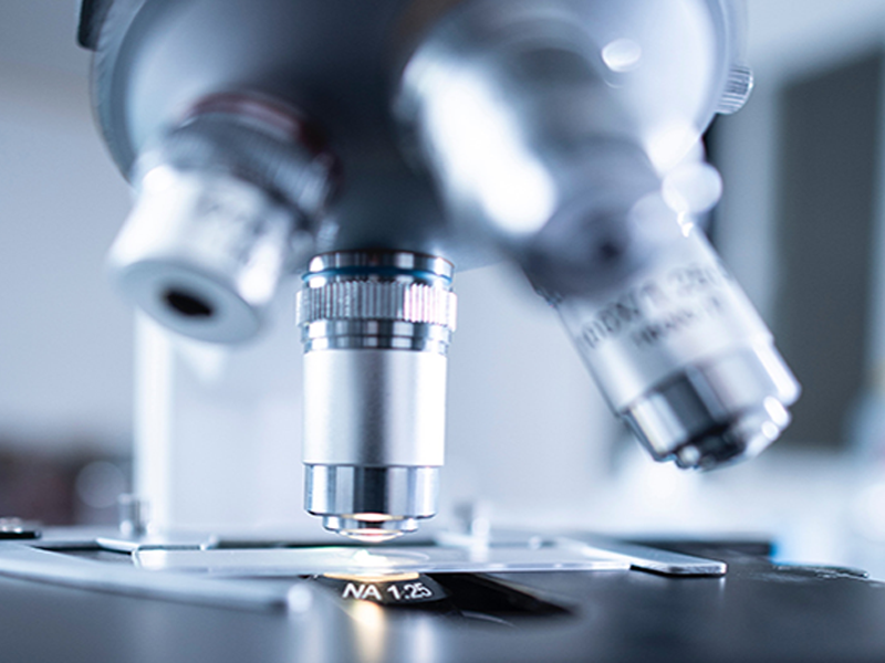 Molecular Biology