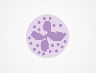 Neutrophils