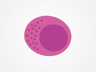NK cells