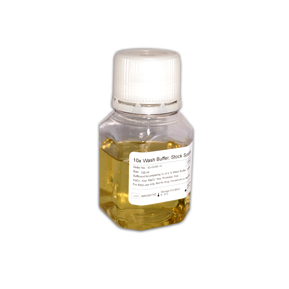 10x Wash Buffer