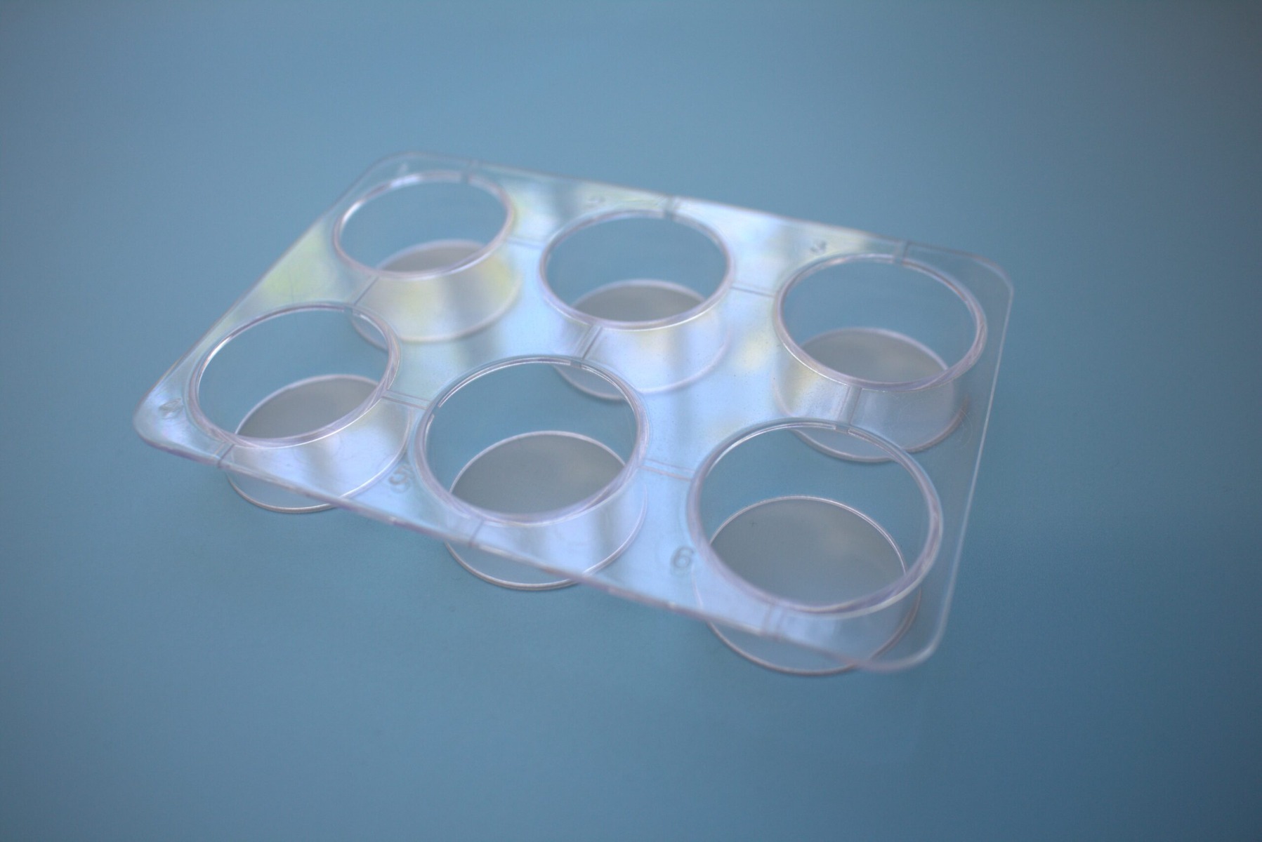 Multi-well-strainer (single packed, sterile), 1 plate. 6-wells strainer plate