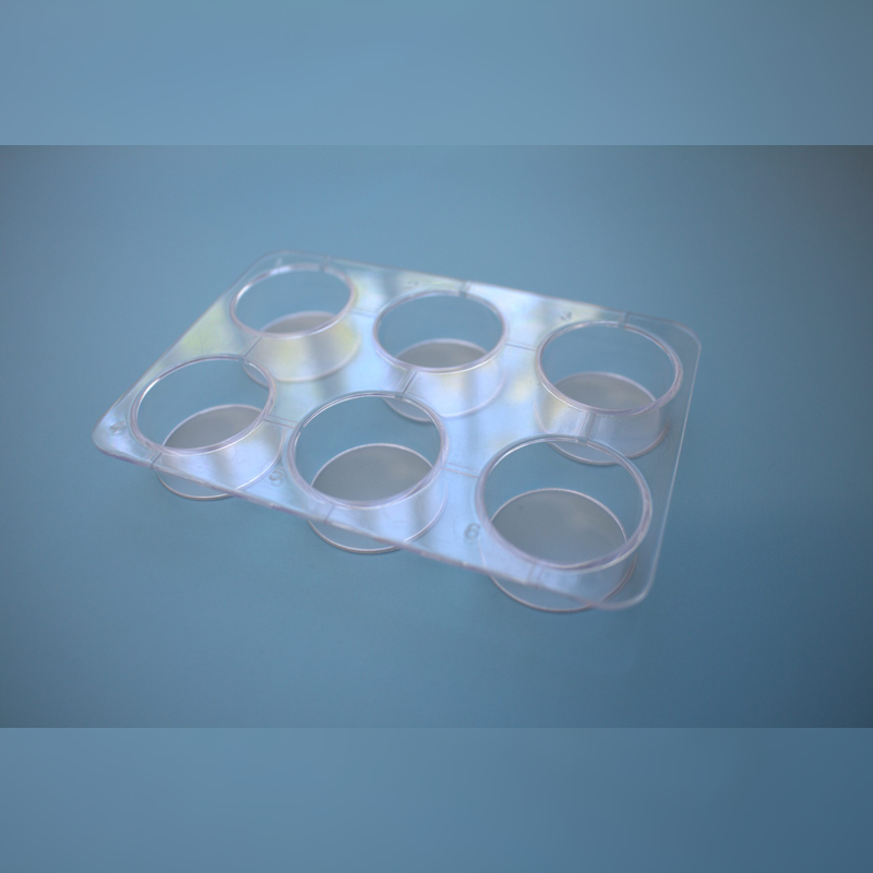 Multi-well-strainer (single packed, sterile), 1 plate. 6-wells strainer plate