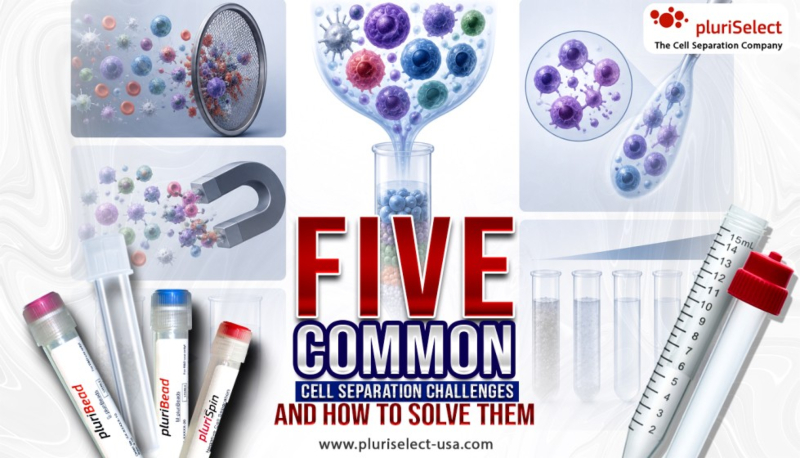 Five Common Cell Separation Challenges and How to Solve Them