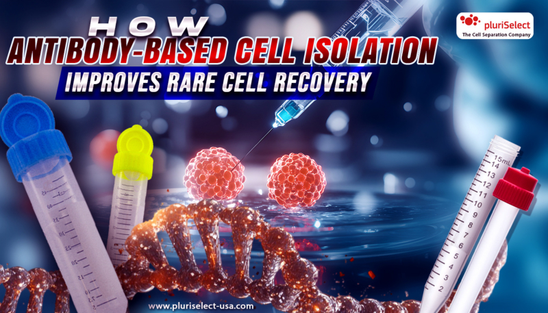 How Antibody-Based Cell Isolation Improves Rare Cell Recovery