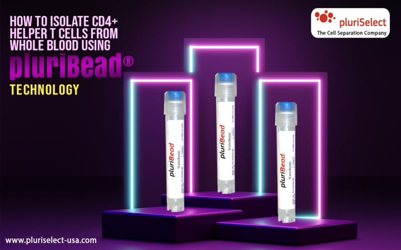 How to Isolate CD4+ Helper T Cells from Whole Blood Using pluriBead® Technology