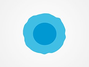 B cells