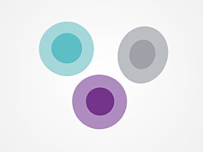 Effector T cells