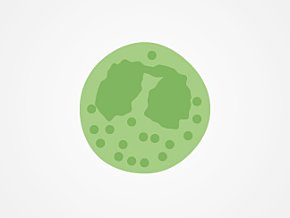Eosinophils