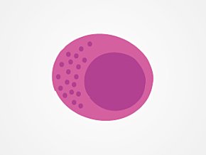 NK cells