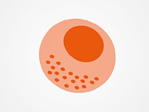 NKT cells