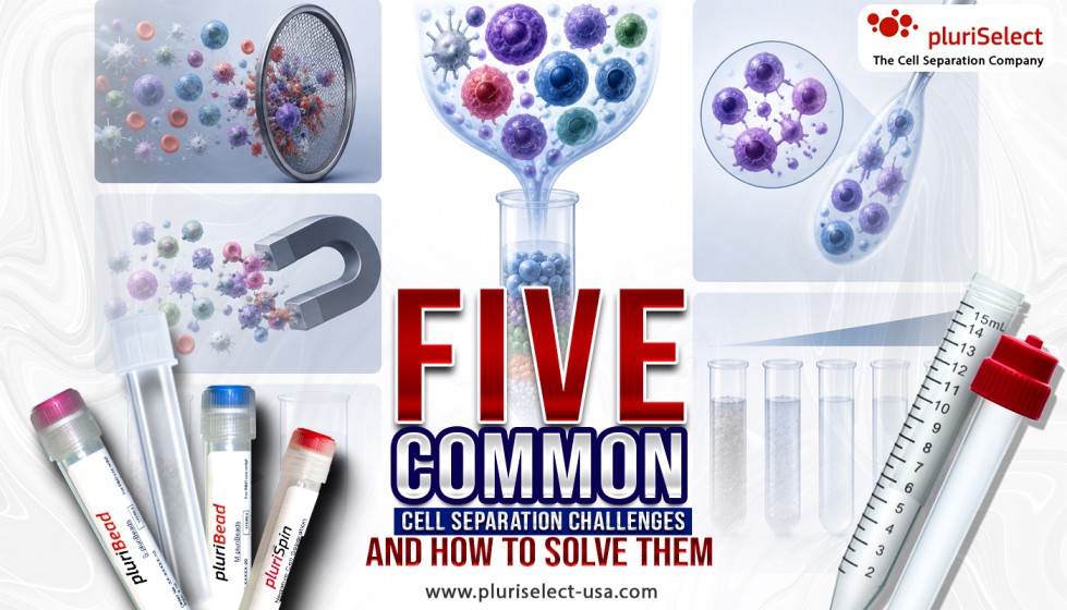 Five Common Cell Separation Challenges and How to Solve Them