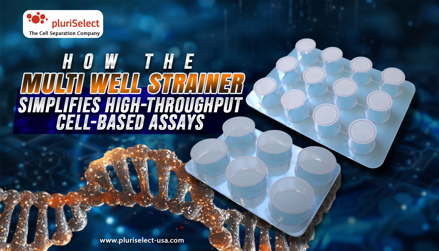 How the Multi Well Strainer Simplifies High-Throughput Cell-Based Assays