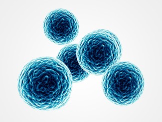 B cell isolation and stimulation of antibody secretion