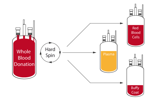buffy coat from whole blood centrifugation