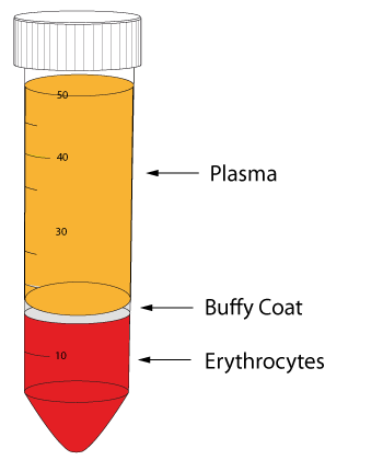 buffy coat from blood donation