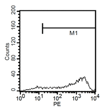 Fluorescent analysis of mature dentritic cells CD1a+