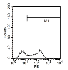 Fluorescent analysis of mature dentritic cells CD1a+