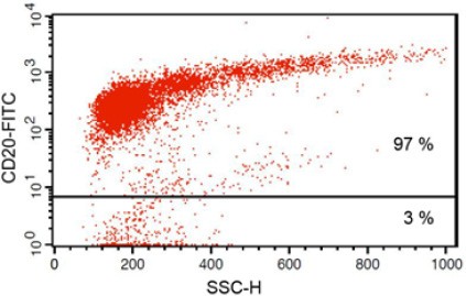 facs analysis b cell isolation