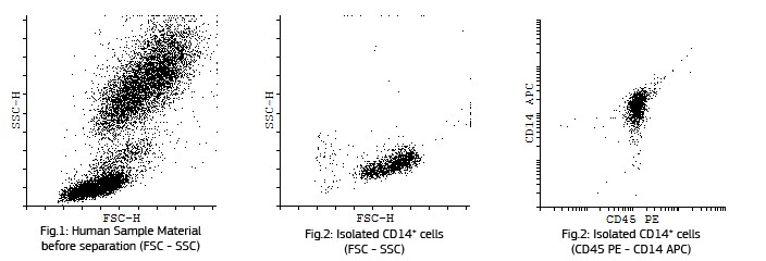 facs analysis of monocyte isolation for dendritic cells maturation