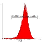 Flow cytometric analysis of Caco-2 cells, staining with anti-EpCAM-PE.