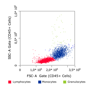 PBMC Spin Medium - Flow cytometry