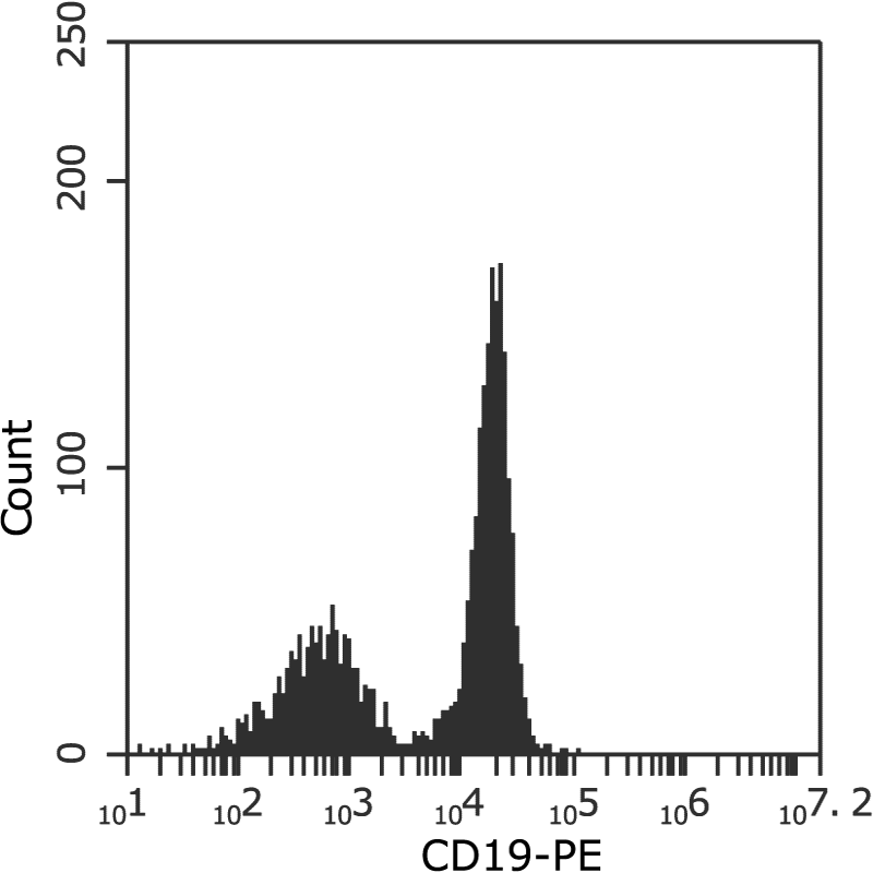 CD19 enriched cells