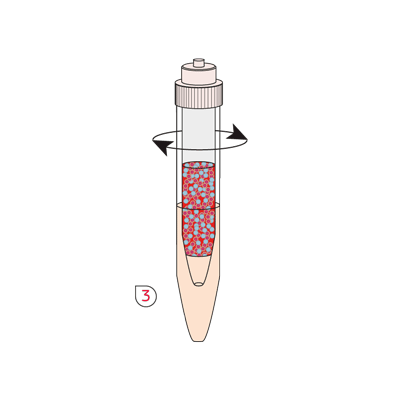 twinspin scheme - step 1