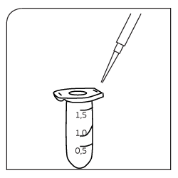 pluriBead rna protocol - Transfer lysed cells